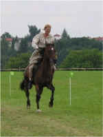 isen02_04.jpg (24557 Byte)