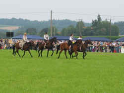 isen02_09.jpg (143861 Byte)